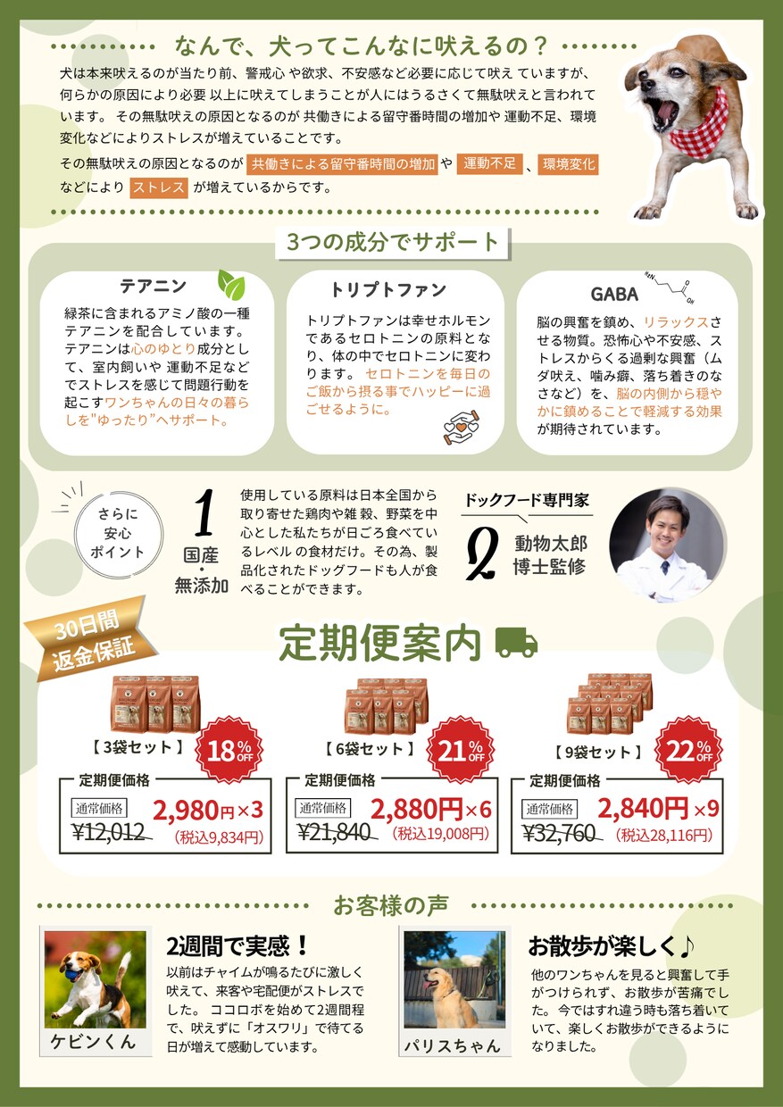 低単価だけど丁寧で伝わる！見やすい！チラシ作ります 費用を抑えたいけど高品質なチラシが必要な方へ イメージ3