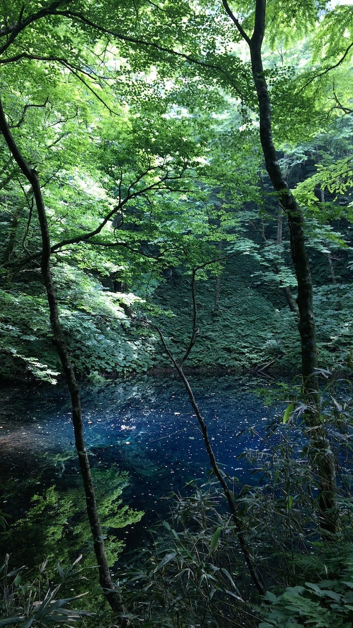 人生相談、対人関係、恋愛相談、承ります 今悩んでいることがある方へ、お気軽にどうぞ。 イメージ1
