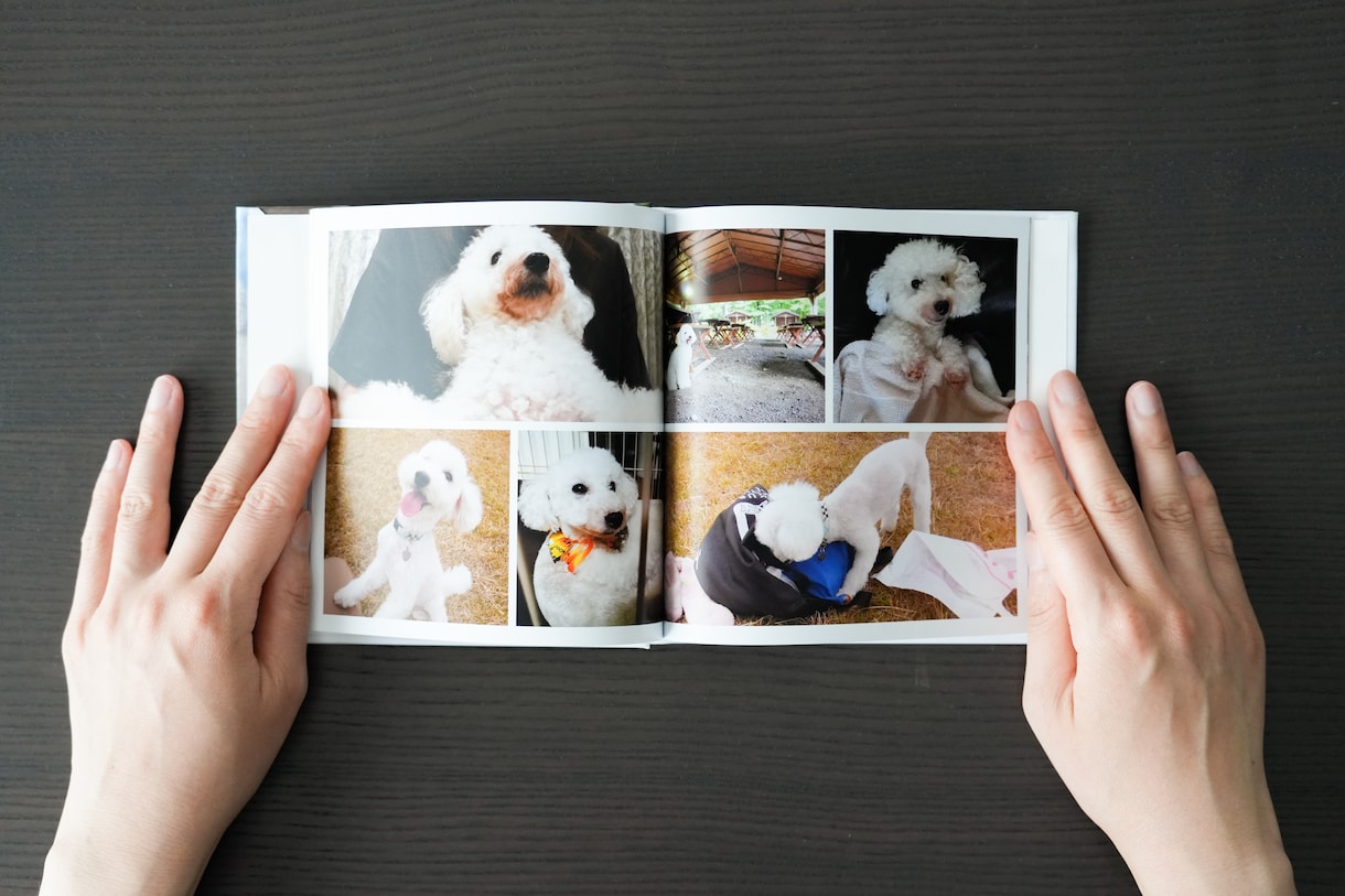 ペットの思い出が詰まったフォトブックを制作します 撮りだめた写真から一冊のフォトブックをお作りします！ イメージ6