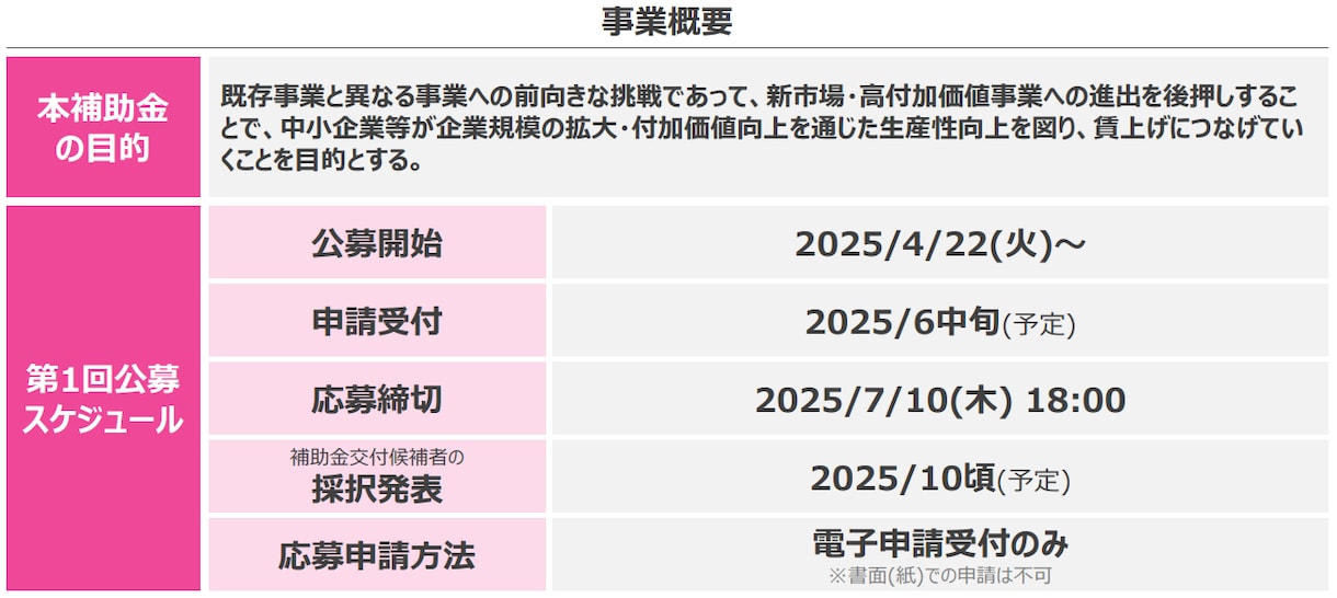新事業進出補助金の事業計画書を作成します 【コンサル x 投資銀行出身者】短納期で高品質な事業計画書 イメージ5