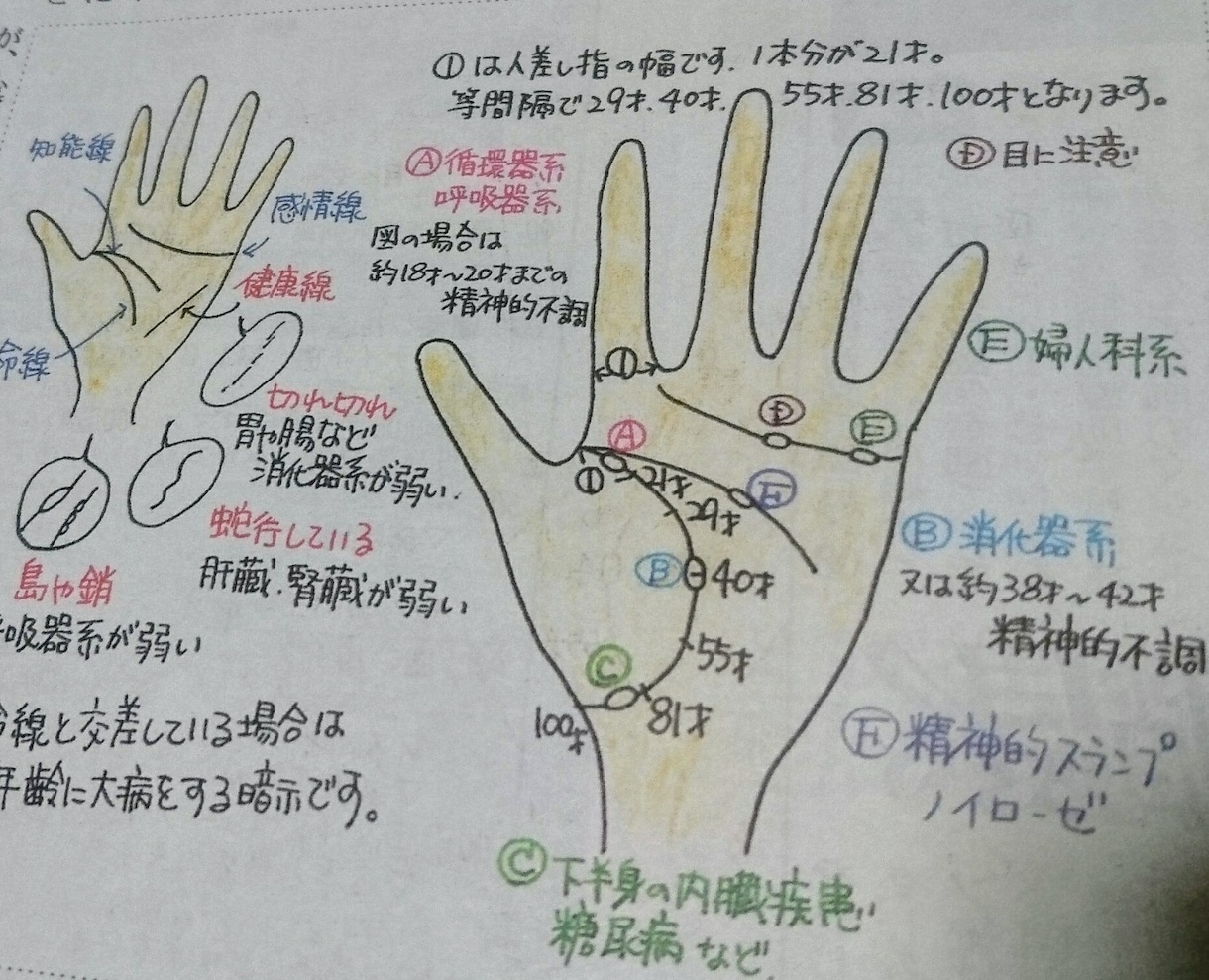 手相鑑定しています 対面占いの鑑定15年。イラストで分かりやすく説明します。 イメージ2