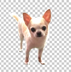 5点1組！丁寧に早く画像の切り抜きいたします 丁寧・早い・安い！画像切り抜きします。 イメージ1