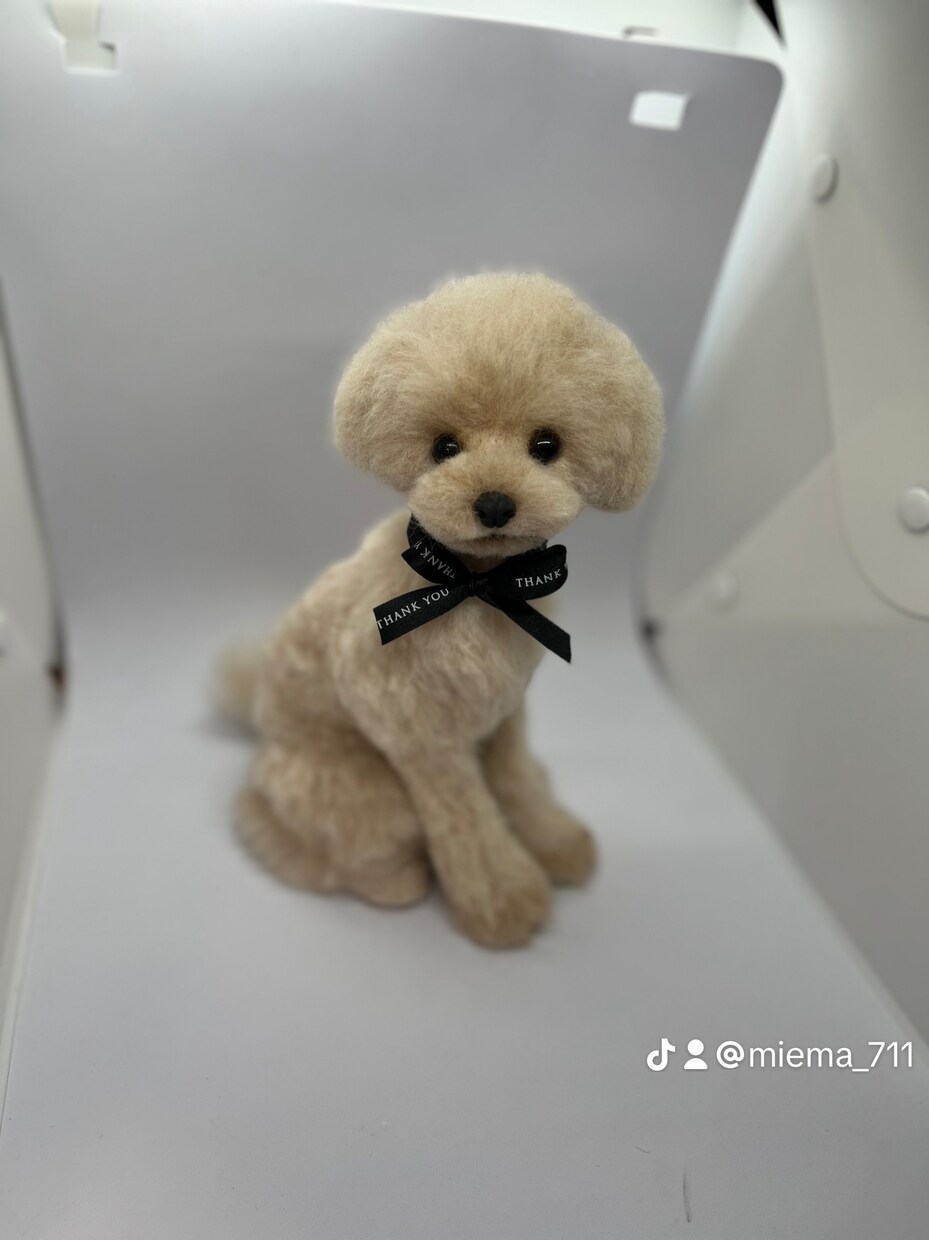 羊毛フェルト オーダー　募集中‼️ 愛犬　犬　ハンドメイド 羊毛フェルト オーダー 募集中‼️ 愛犬 犬 ハンドメイド 【公式通販】
