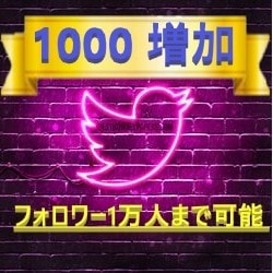 世界拡散■Twitterフォロワー1000増します 【1000～10000人】ツイッターのフォロワー増加 イメージ1