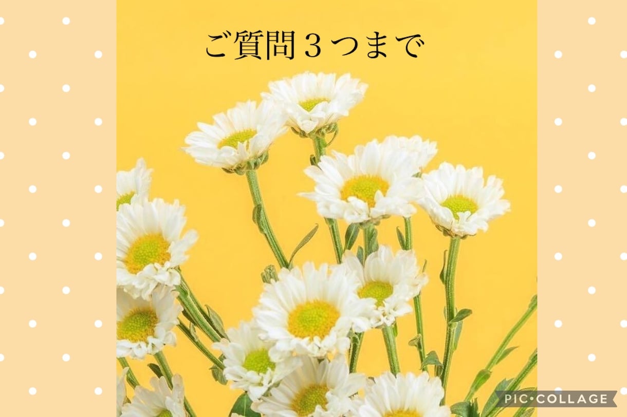 ご質問３つまでをルノルマンカードで占います 結果がはっきり気持ちスッキリされたい方へ イメージ2