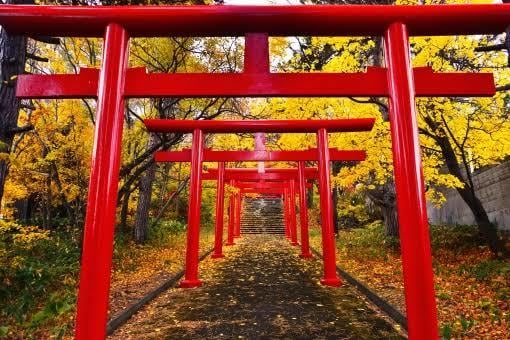 霊視✴︎占い 神様への挨拶をお手伝いします 神棚・参拝・お守りには神様パワーしっかりもらわなきゃね！ イメージ1