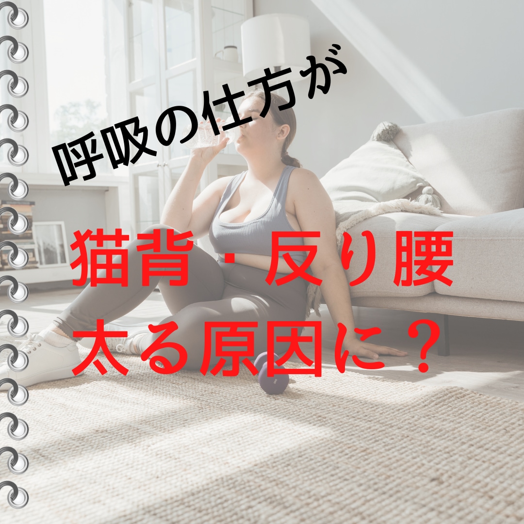 呼吸の仕方でダイエットや姿勢改善をします 呼吸がぽっちゃりお腹や猫背・反り腰を作っている？ イメージ1