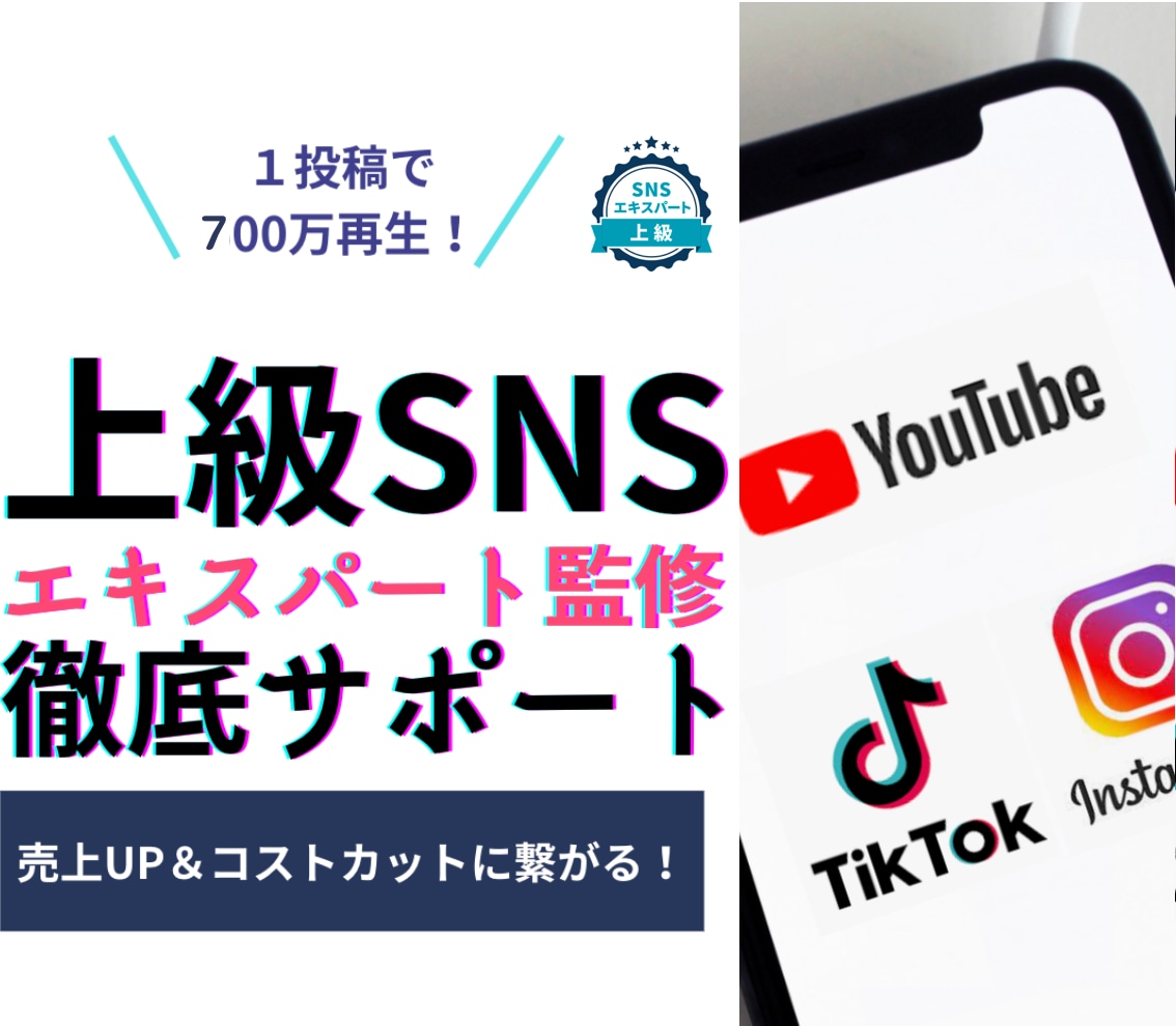上級SNSエキスパートが柔軟に運用サポート致します ショート動画1000万再生達成 広告費を数千万削減の実績 イメージ1