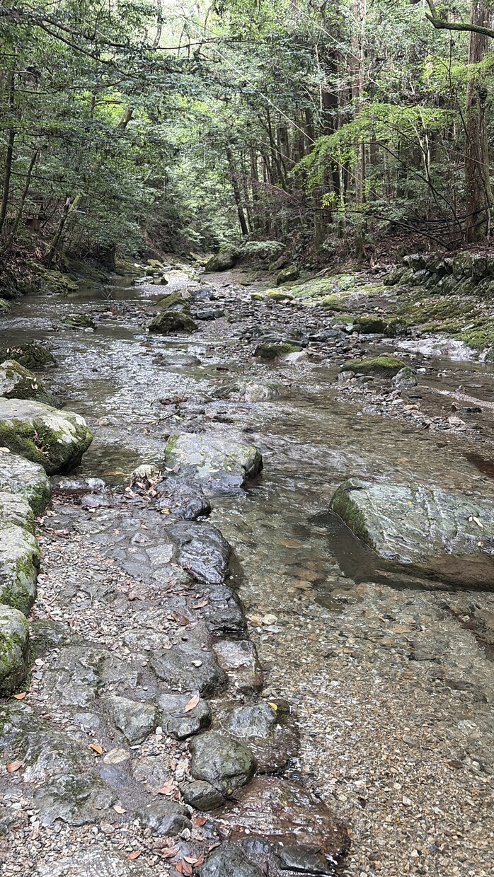 龍の気ヒーリング　エネルギー再調整承ります 多角的なエネルギーを駆使して、エネルギー浄化と再調整を！ イメージ2