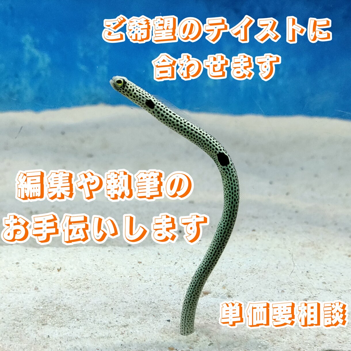 編集などお手伝いします リライトだけでなく校正も可能です。 イメージ1