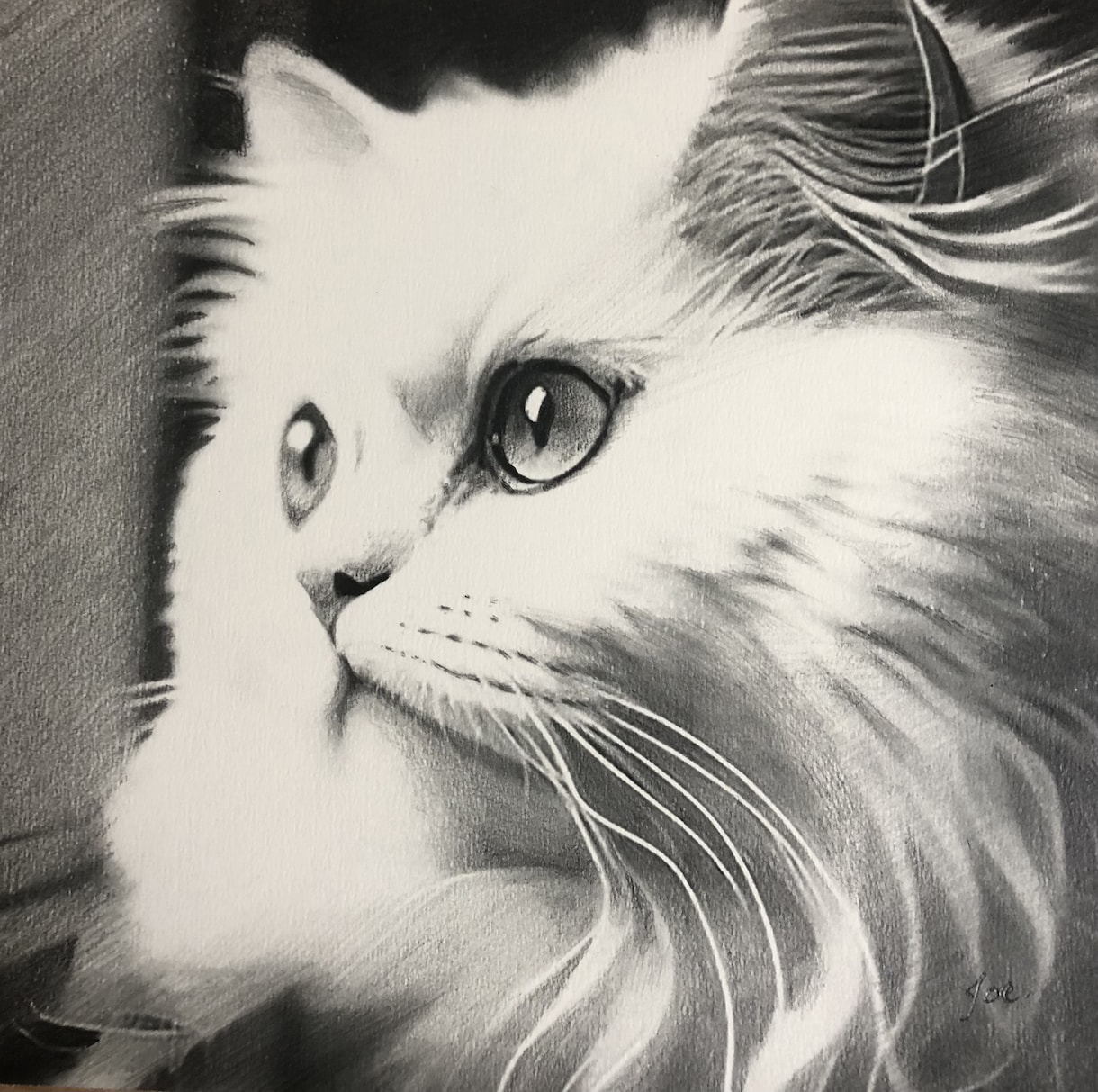 リアルなペットの似顔絵を鉛筆画で丁寧に描きます 写真より臨場感のある鉛筆画を、記念や思い出としていかがですか イメージ4