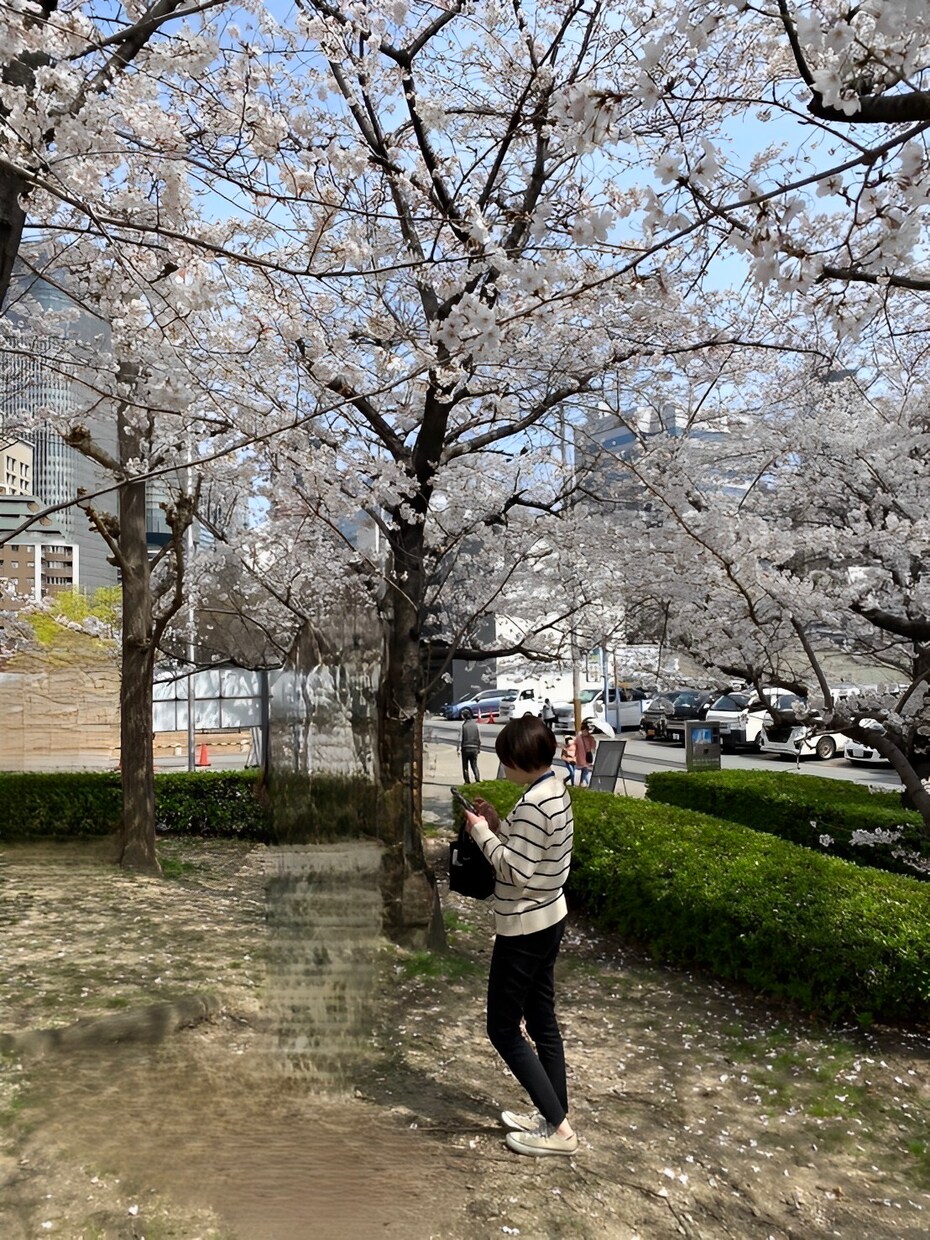 お友達になりましょう。話相手になります 女性限定。大阪のただの主婦。愚痴聞き。相談。ご遠慮なく。 イメージ1