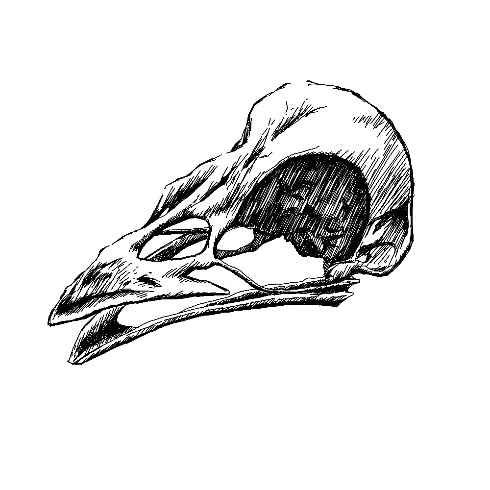 スケッチ風イラストを描きます SNSやブログ・印刷物の挿絵にオススメ！ イメージ5