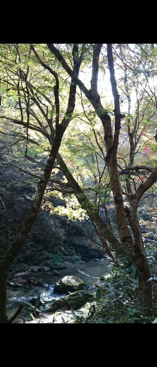 日常の空き時間お埋めします ☘日常の雑談・愚痴・悩み相談部屋☘ イメージ3
