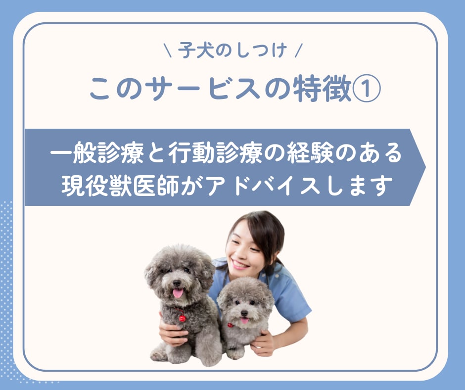 子犬期のしつけを4ヵ月齢まで継続サポートします 行動専門獣医師によるオーダーメイドのしつけ相談室です。 イメージ7