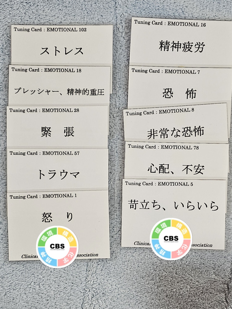 問題になってる感情の波動を調整します 負の感情は心身にダメージを与えます イメージ1
