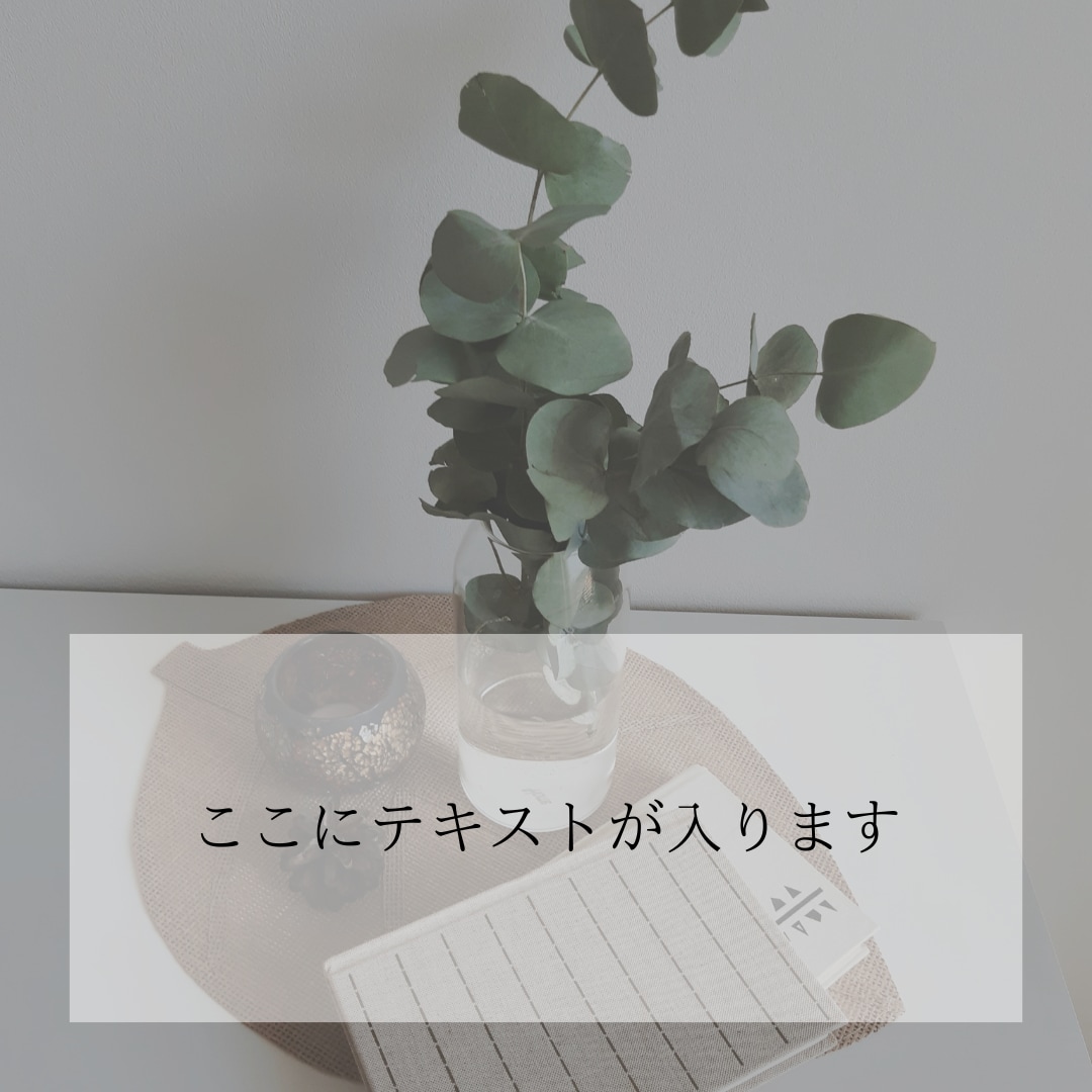 Instagramの投稿画像を作成いたします SNSの画像作成を代行します。効率的に運用して集客UP！ イメージ3