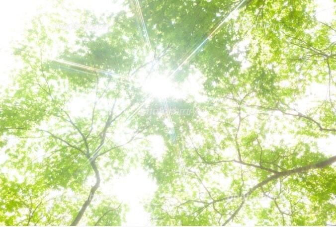 気軽に雑談おしゃべりします 誰かと話したい時、短時間でもお話ししましょう。雑談OK。 イメージ9