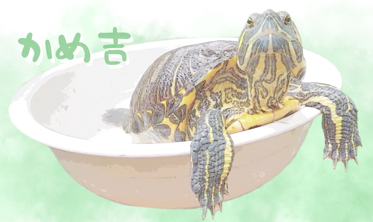 ペットのお写真を素敵なイラスト風に加工します あなたとペット(犬、猫など)の写真も可♪ハガキなどにどうぞ イメージ3