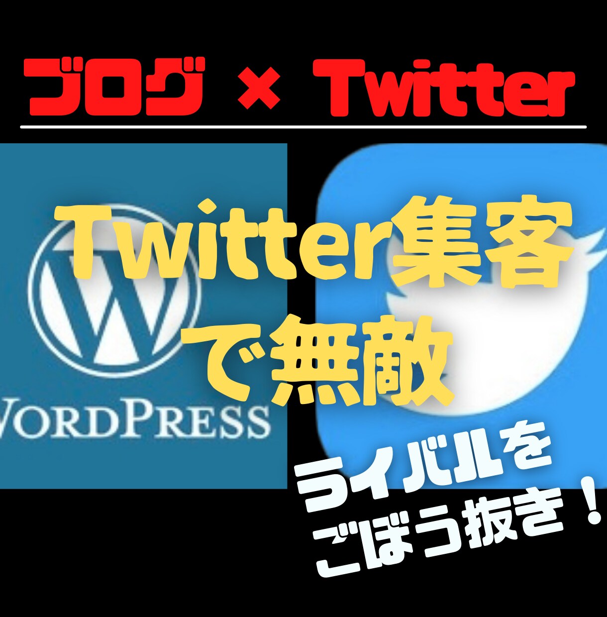 Twitter集客で無敵アフィリエイト教えます 才能、スキル、経験一切不要！初心者のための完全攻略マニュアル イメージ1