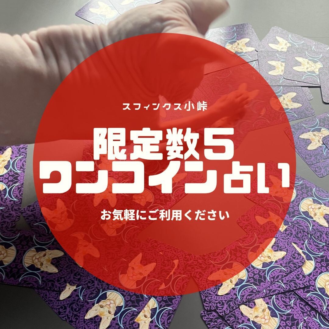 ワンコイン限定５！猫が１年間の総合運を占います 神秘的なオッドアイのスフィンクスによるタロット占い イメージ1