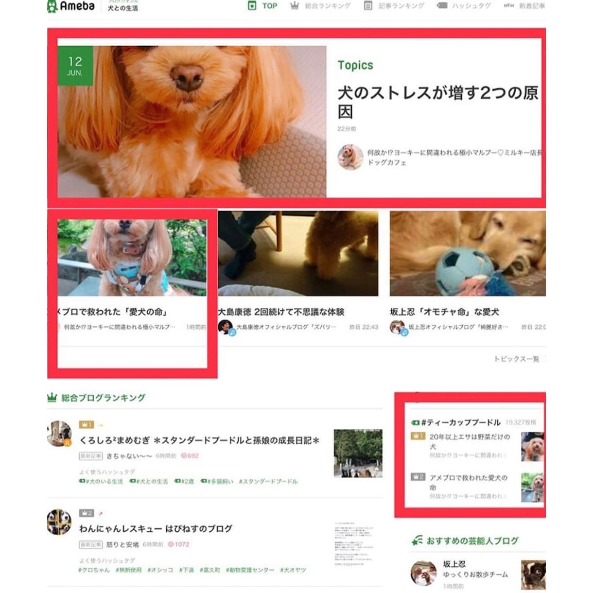 アメブロを5日間集中で徹底的に強化します 【Ameba公式トップブロガー】によるパワーブロガー養成術 イメージ4