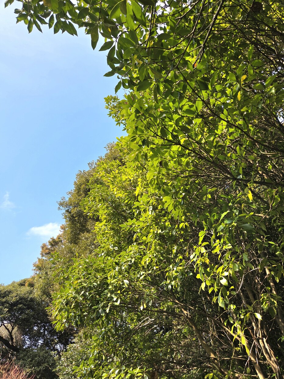 お疲れ様です☆一緒に萌え萌えキュンキュンします 一緒にキュンについて語りましょう☆なんでも待ってます☆ イメージ2
