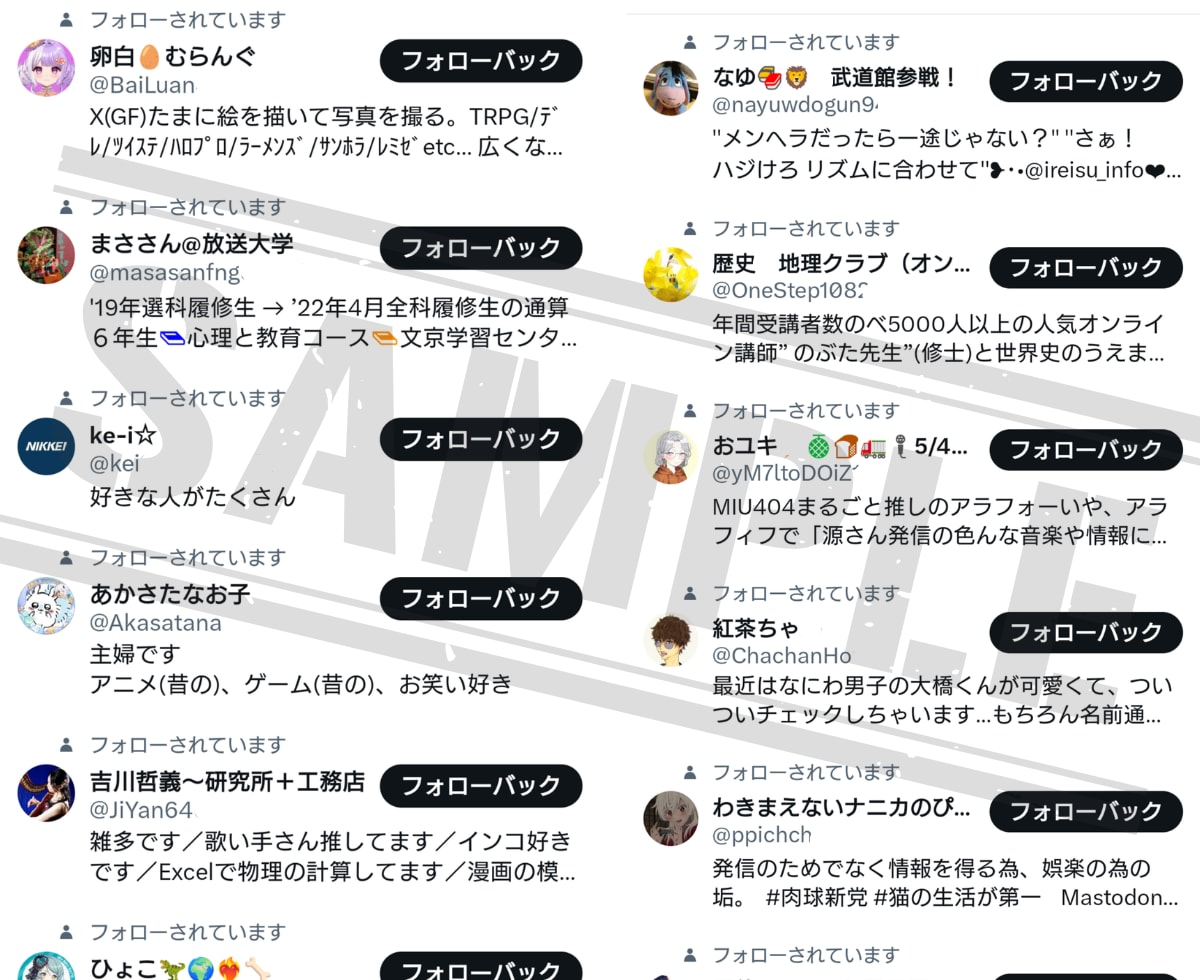 X(旧Twitter)　日本人フォロワー増やします ★高品質★X(Twitter)日本人フォロワー＋100人★ イメージ2