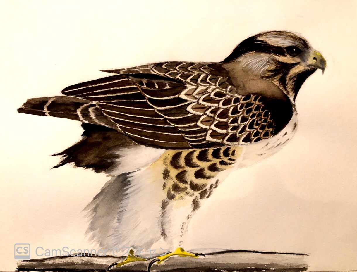 ペット等動物のデッサン、イラストお描きします 大切な家族の思い出を絵に残しませんか？温かい絵お届けします。 イメージ2