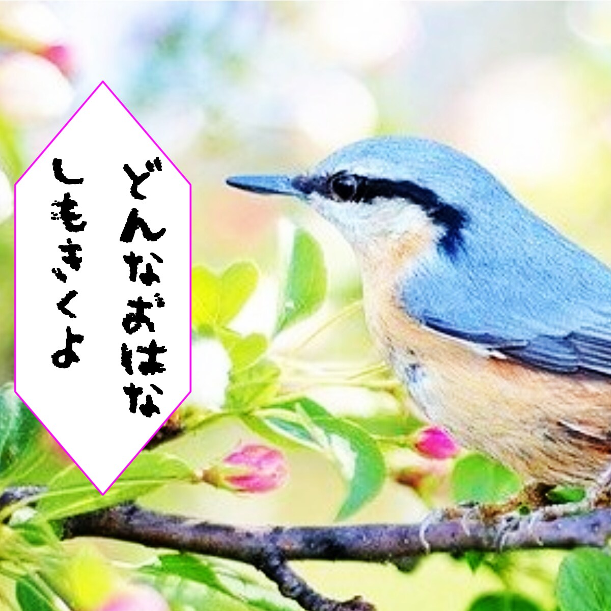 ホロスコープ鑑定！1年間の運勢をタロットで告げます 即納★50%off！今後12ヶ月間の流れを予知宣告いたします イメージ6