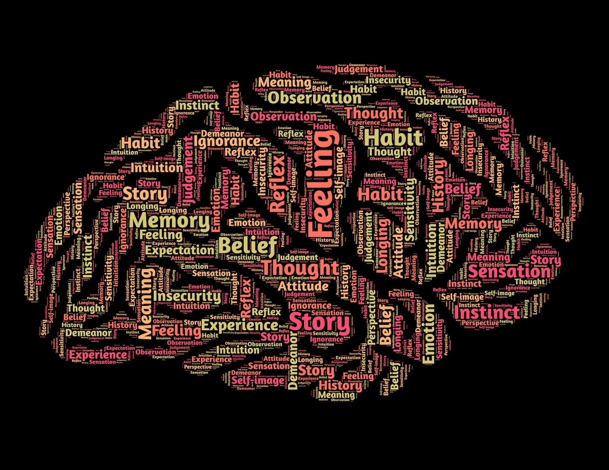 最新の論文から健康情報や科学的情報を教えます 健康・学習・心理学などエビデンスがある情報が欲しい方へ イメージ1
