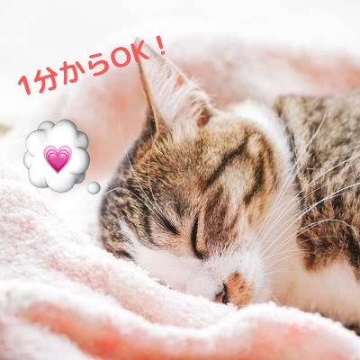 3月18日22時〜◎/現役女子大生がお話聴きます / 電話1分〜◎ / どんなジャンルも◎ イメージ1