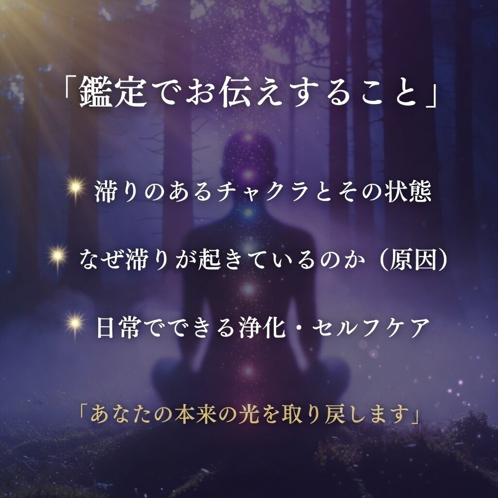 少数限定｜人疲れの原因をチャクラ診断で視ます 人といるだけで疲れる…チャクラを視て浄化の道をお伝えします イメージ5