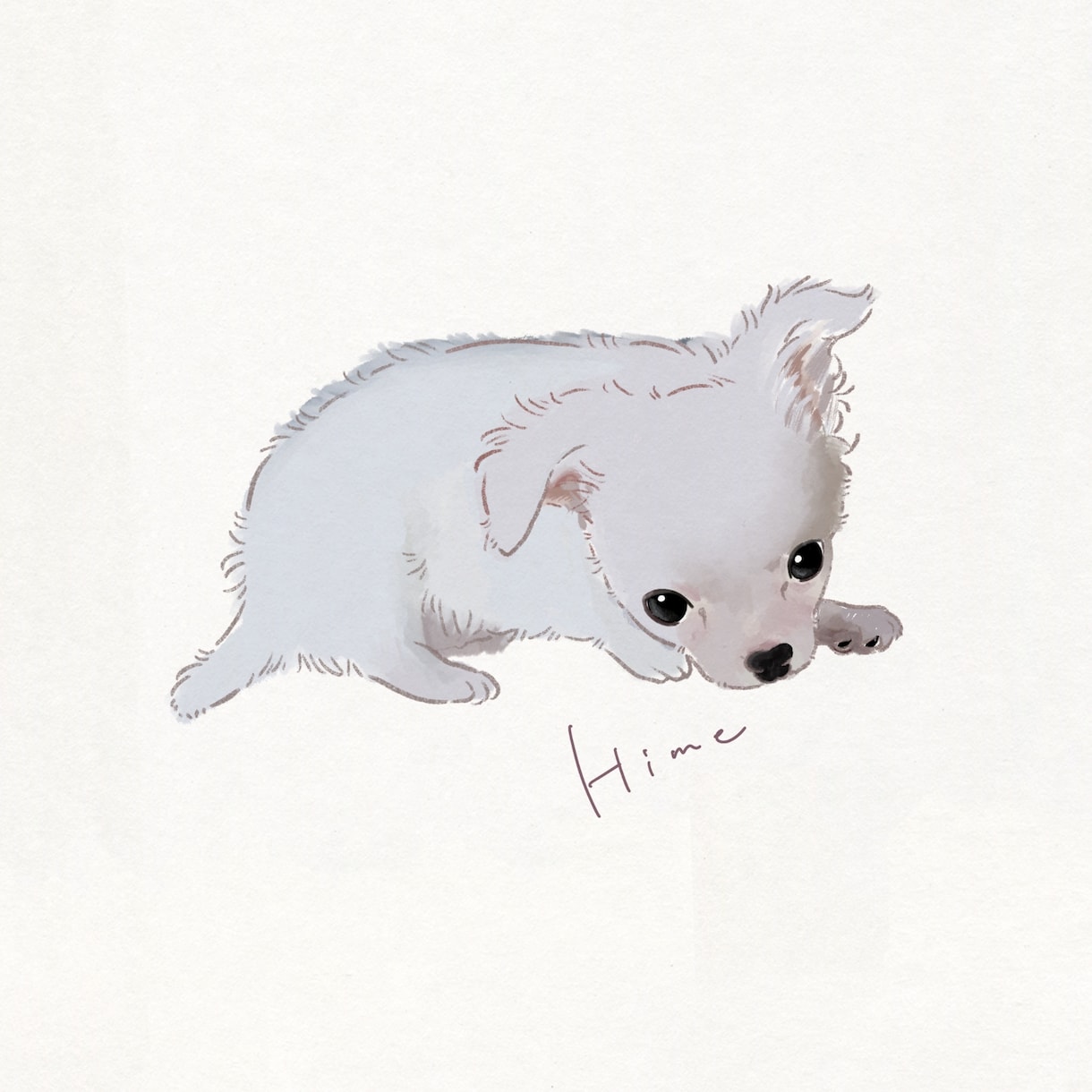 ペット・うちの子｜写真からイラストを描きます 大好きな"うちの子"との思い出を、イラストに イメージ1