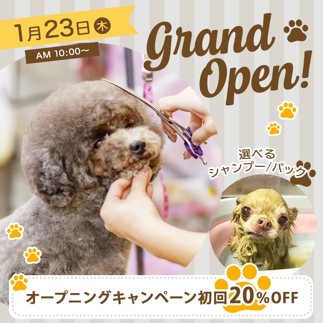 ペット関連のサムネイル作ります ほんわか可愛いデザインが得意です！ イメージ2