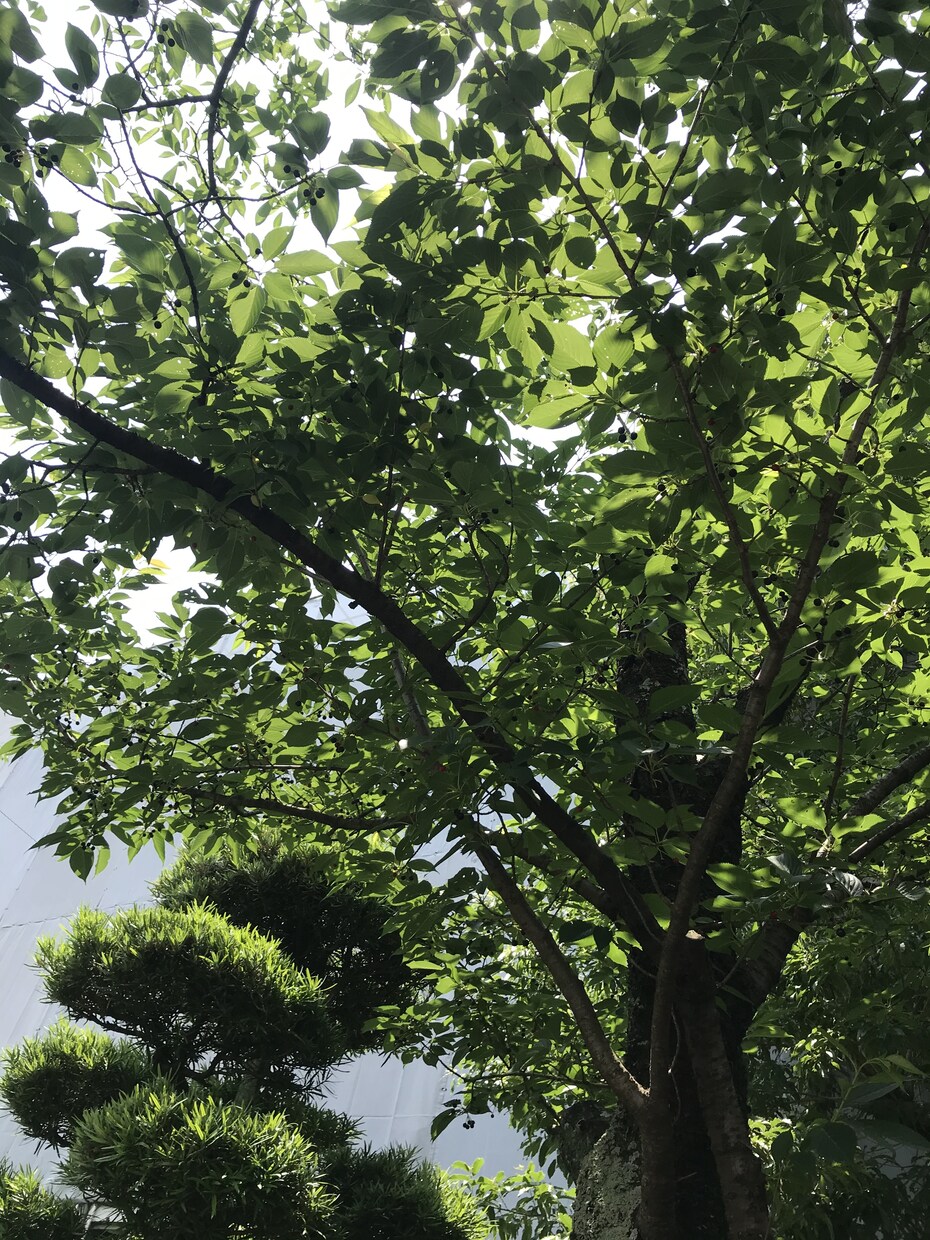 お話聞きます 話したい！聞いて欲しい事がある方へ イメージ2