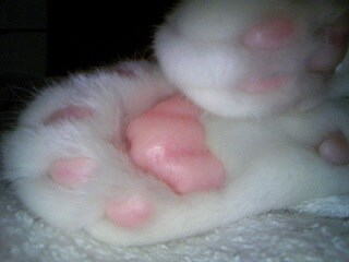 だいたいのことはお伺いします 愚痴、お悩み・・・お話ししてみませんか？ イメージ1