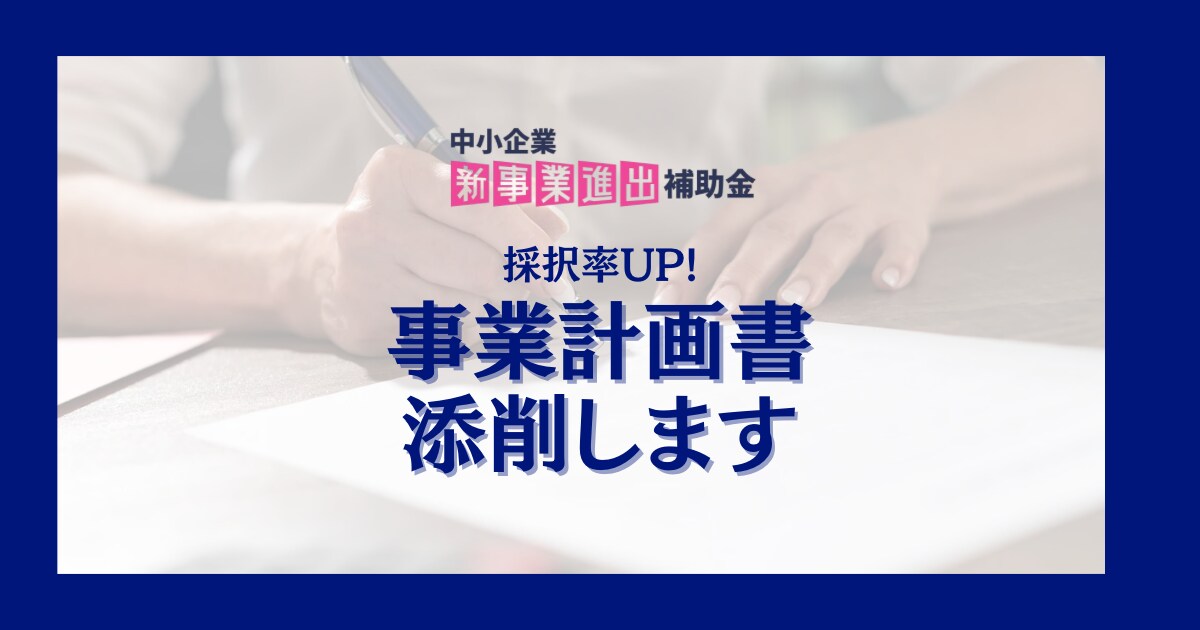 新事業進出補助金の事業計画書を添削します 採択率80%以上のコンサルタントが事業計画書を徹底的に添削！ イメージ1