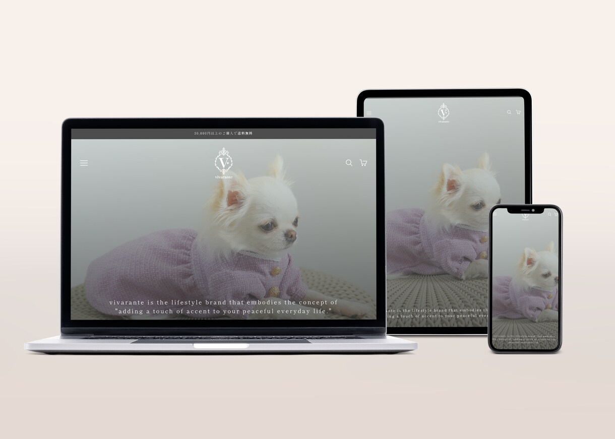 女性に刺さるECサイトを作ります 【丁寧・高品質】Shopifyエキスパートにお任せください イメージ6