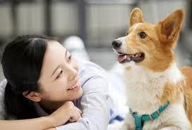 アニマルコミュニケーターデビューへの道筋伝授します 動物と関わることを仕事にするための超具体的ステップを解説 イメージ6