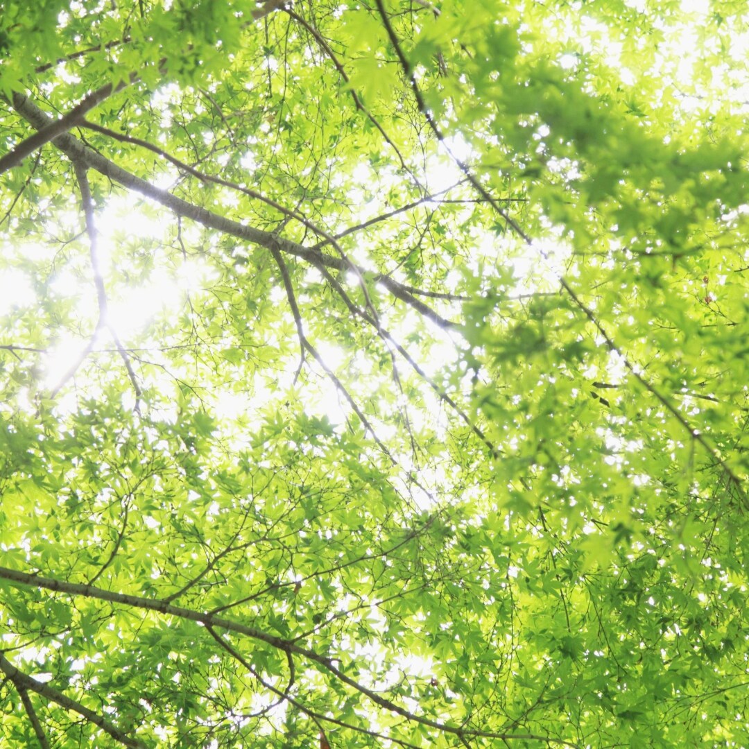 未来からの手紙〜ルノルマンで2026年占います 来年の運勢を3枚でズバリ！未来からの小さな手紙 イメージ3
