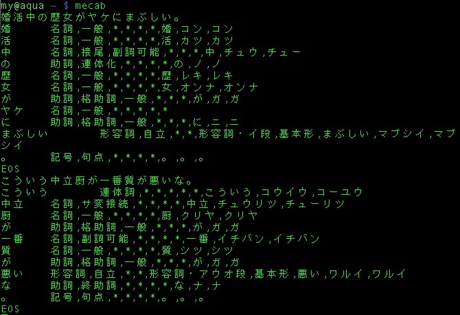 自然言語処理！ビッグデータを言語処理します 東京大学で培った知識を活かしたくて出品しました！ イメージ1