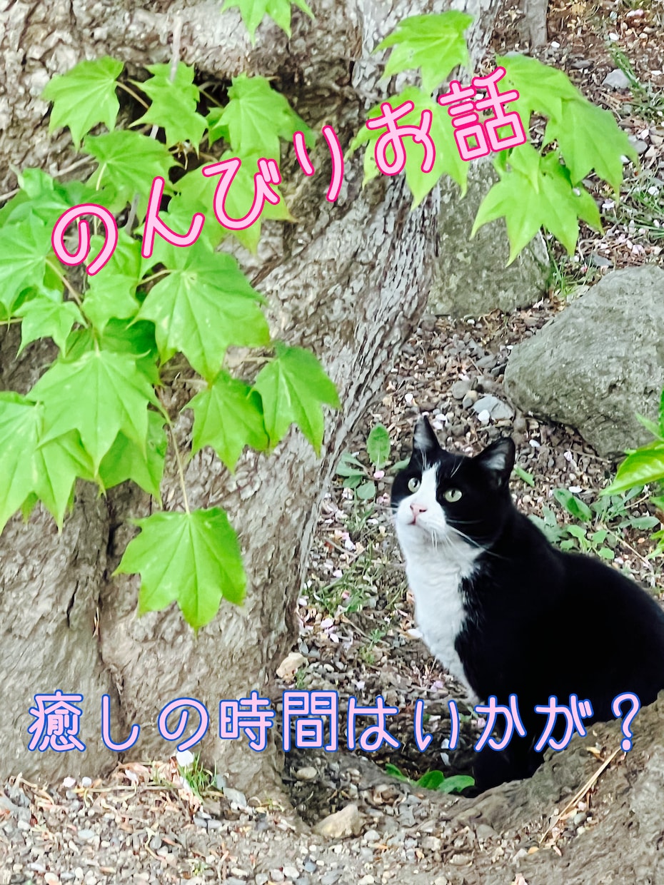 幅広いトークテーマでのお話受け付けます 愚痴も悩みもなんでもお話聞かせてください！ イメージ1