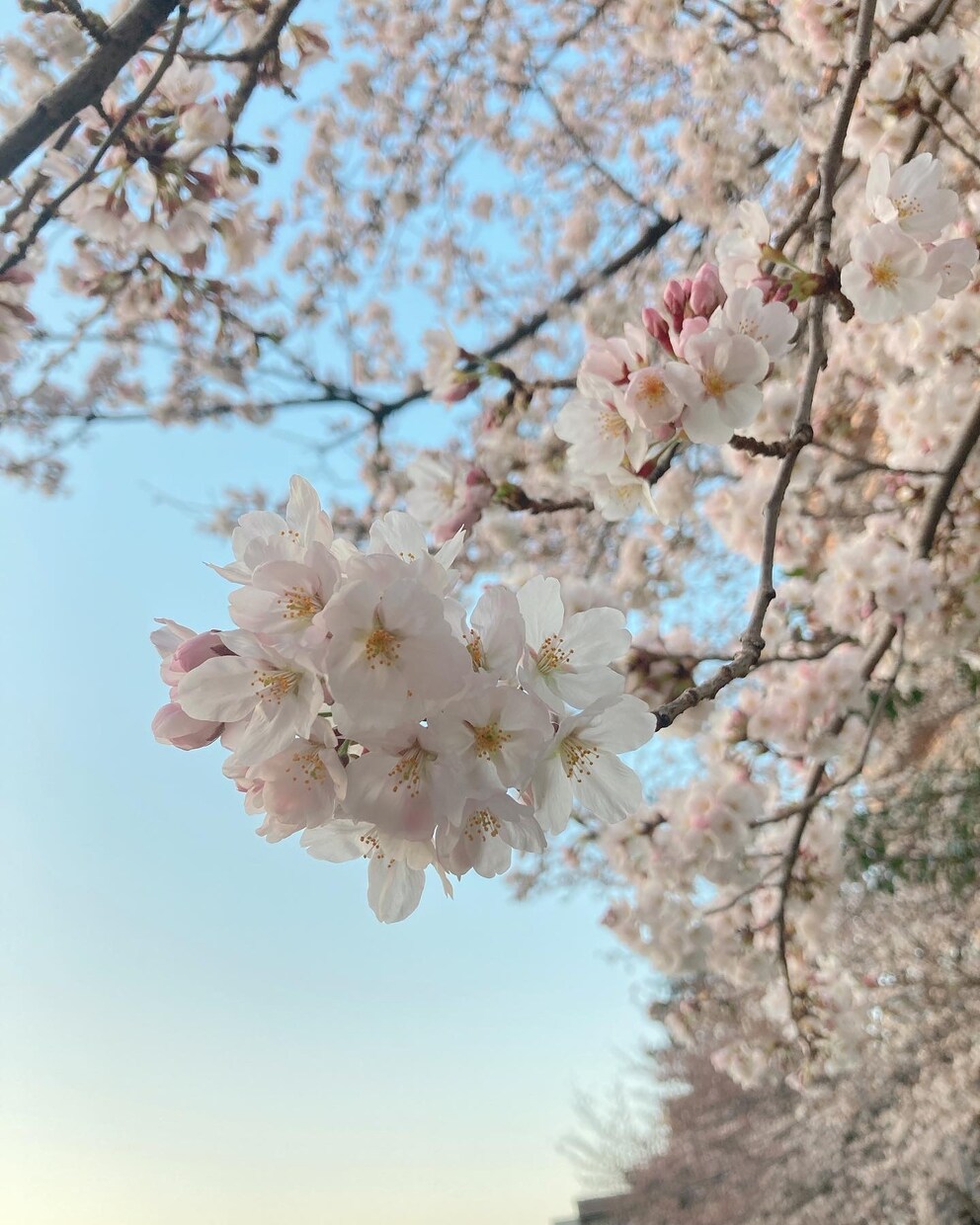 ちょっと誰かと話したいを叶えます バツ2、鬱経験あり、そんな私と色々お話しましょ⭐︎ イメージ1