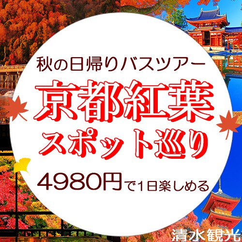 全サイズ1500円Web画像・バナー制作します 格安で高品質なデザインをお届け！！ イメージ1