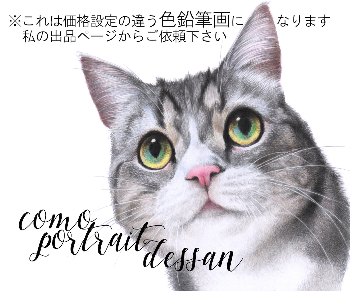 ハイクオリティなペット似顔絵を、鉛筆で手描きします ♪精密描写＊記念プレゼント＊インテリアアート＊アイコンなどに イメージ10