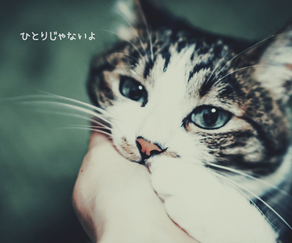 貴方の痛みを受け止めて理解して寄り添います トークなら…会話をするのも苦痛‥苦手‥そんな貴方へ3日間☆ イメージ5