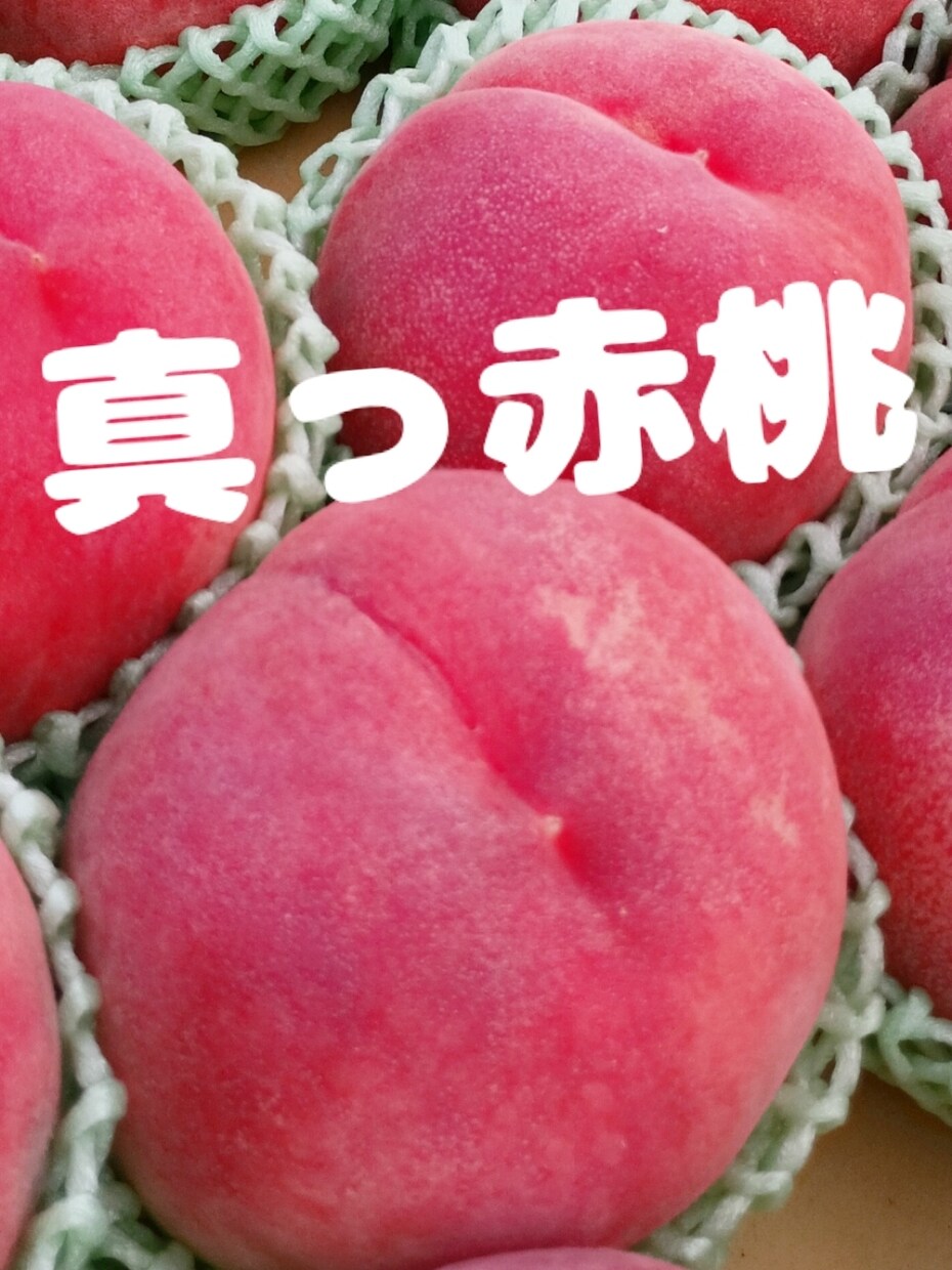 野菜　果物中心売れる文章作成します 50代おはちゃん農家さん向け 売れるメルカリ文章お作りします イメージ9