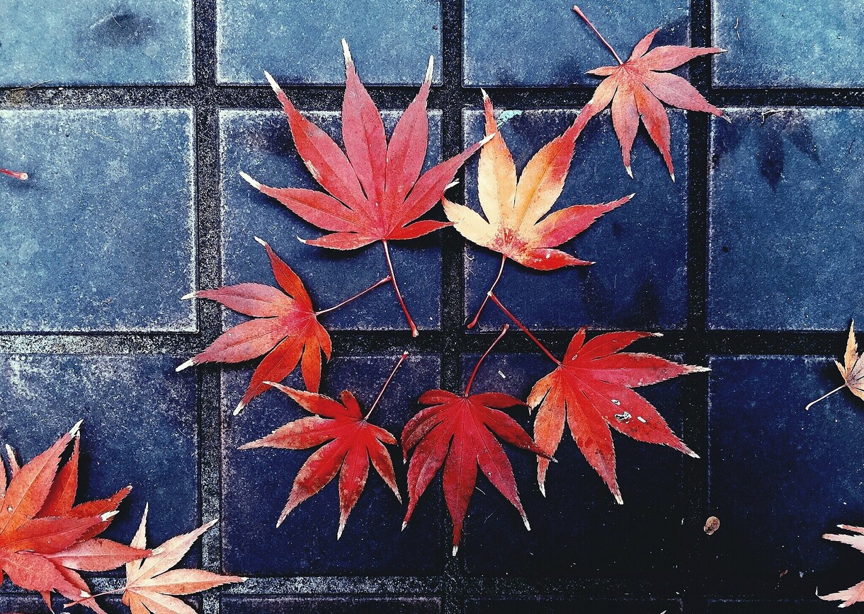 記憶に残る風景写真を提供します 部屋やお店に風景写真や作品撮りをした写真を置きたい方へ。 イメージ5