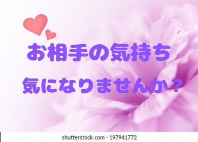 お相手の気持ち！霊感タロット+で本音を占います 直接聞けない…霊感霊視タロット☘️オラクル☘️ルノルマン鑑定 イメージ3